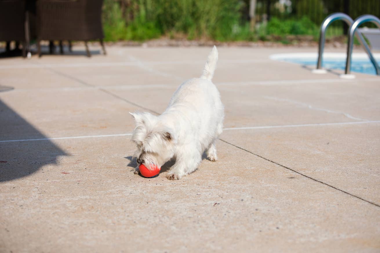 Caitec Inc - Outer Armor Small Ball