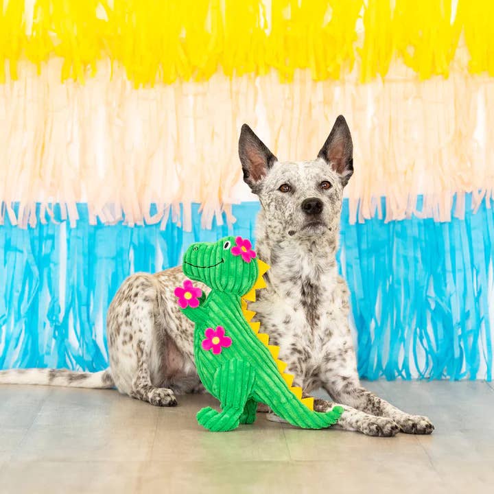 PetShop by Fringe Studio Thorny But Cute Plush Dog Toy