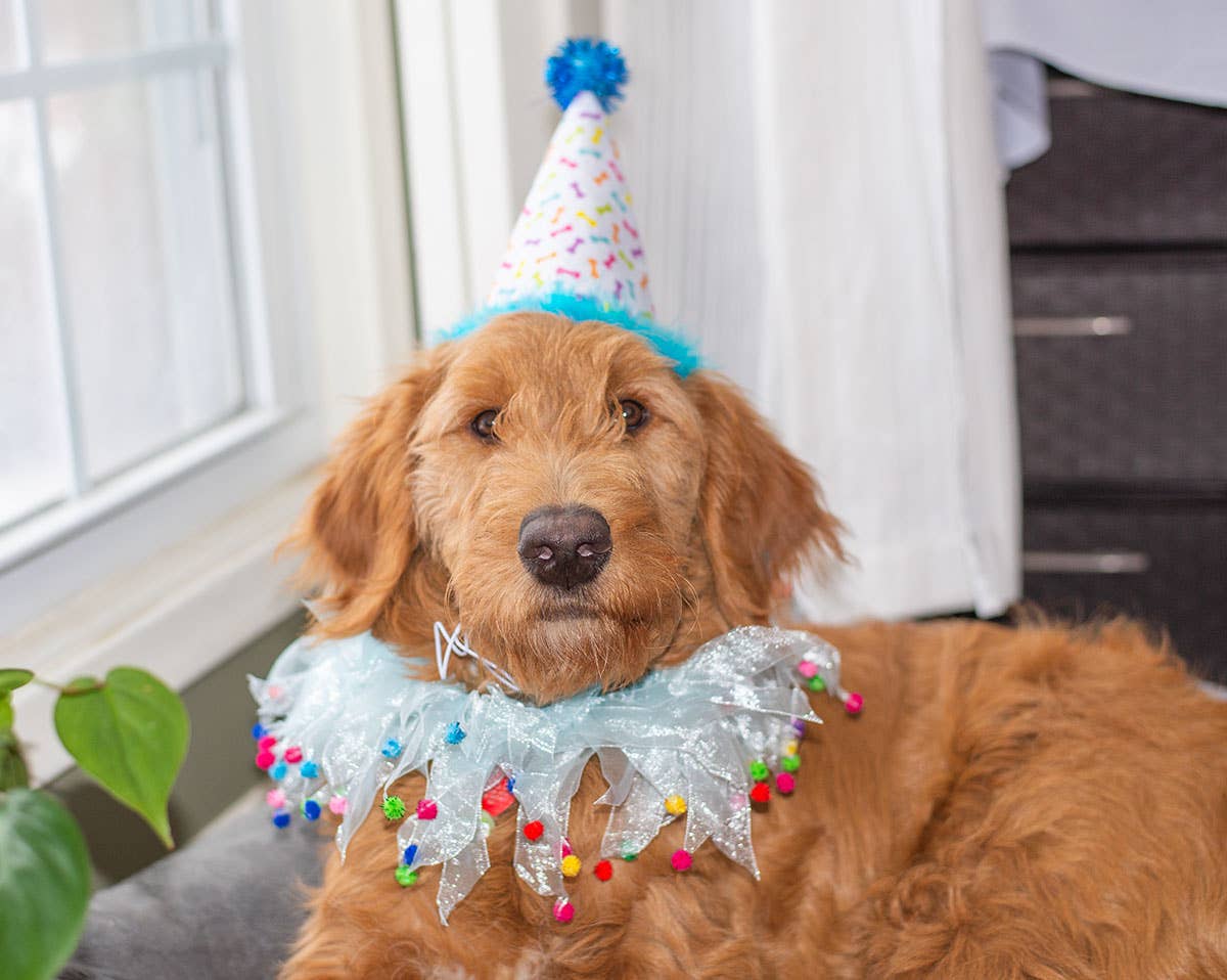 Party Hat Blue