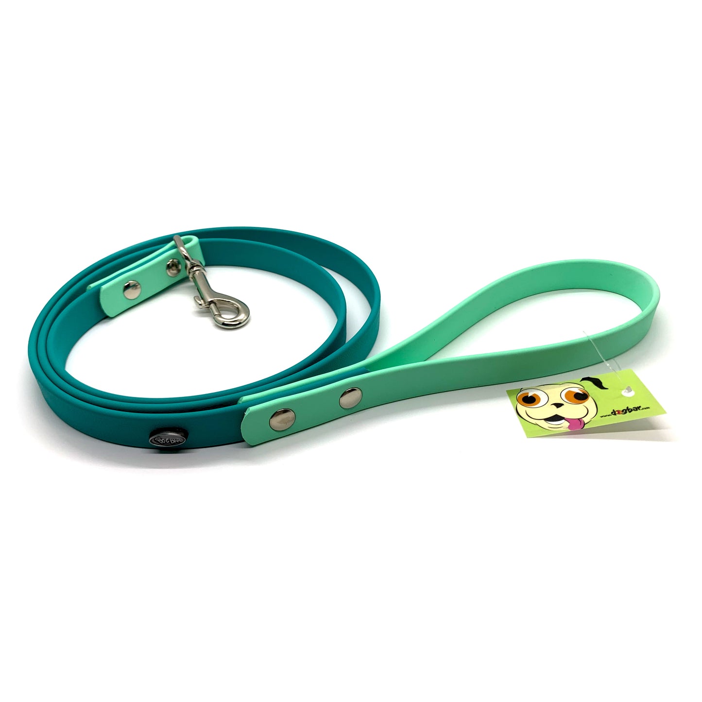 Dog Bar Futura Leashes
