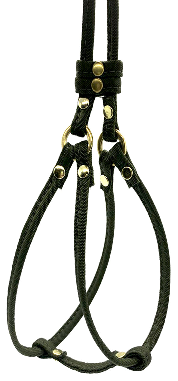Dog Bar Brass Step-In Nylon Dog Harness w/ Leash