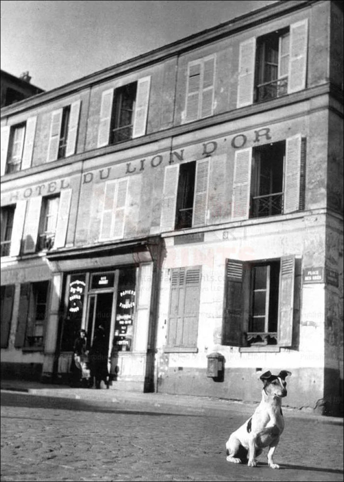 Dog in Front of Hotel du Lion D'Or - VINTAGEARTREPRINTS.COM