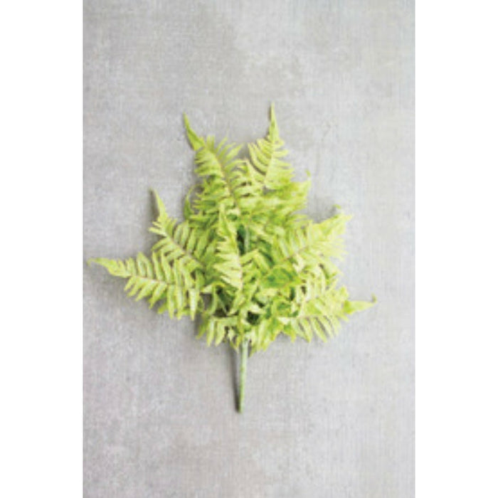 Fern Bundle