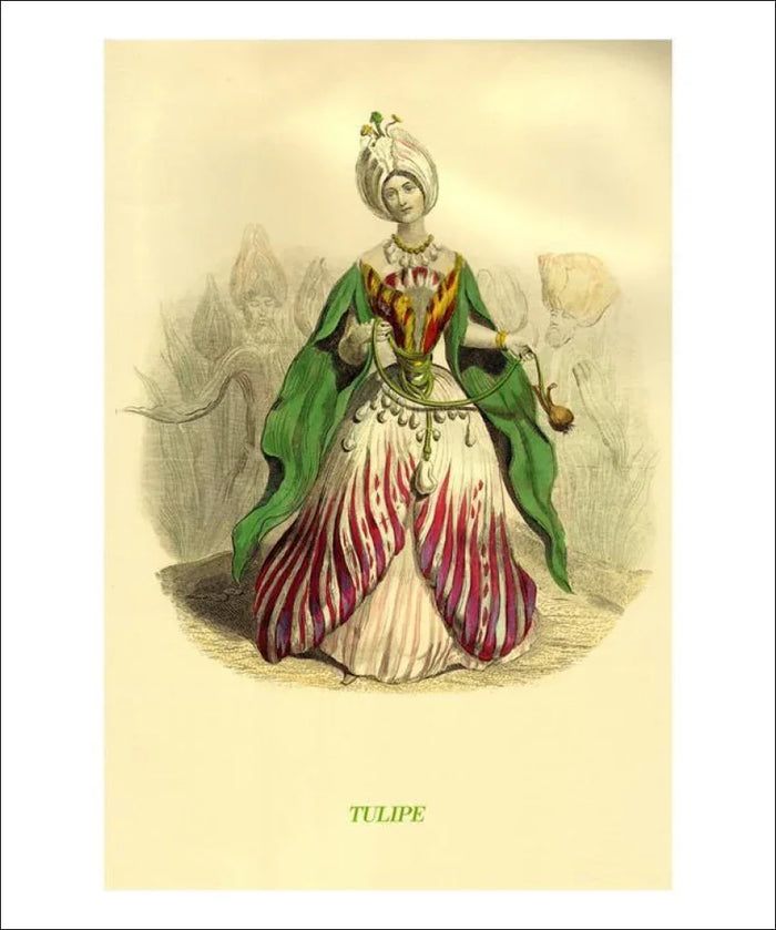 Tulipe, animated flower - VINTAGEARTREPRINTS.COM
