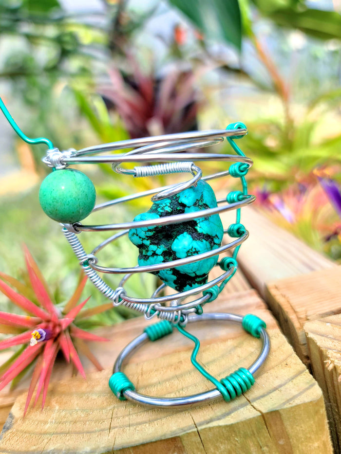 WYSIWYG Turquoise Howlite Air Plant Holder with Ionantha Mexican