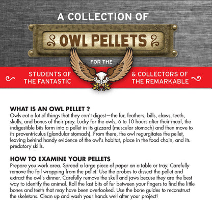 Cabinet of Owl Pellets -Dissection Kit Science
