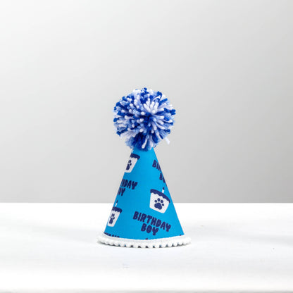 Pup Party Hats - Birthday Blue Boy  Ink Party Hat