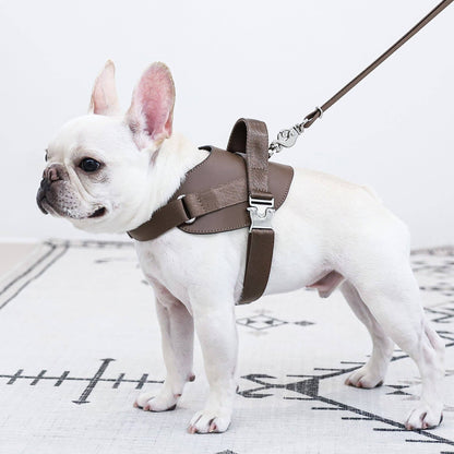 Hozi - Saddle Harness : Pink