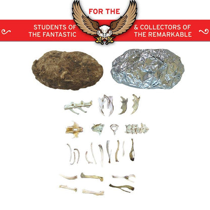 Cabinet of Owl Pellets -Dissection Kit Science