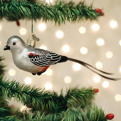 Scissor-tailed Flycatcher