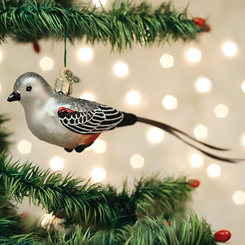 Scissor-tailed Flycatcher