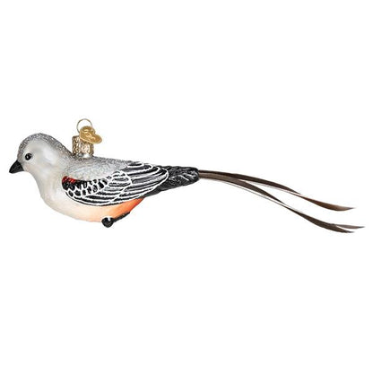Scissor-tailed Flycatcher