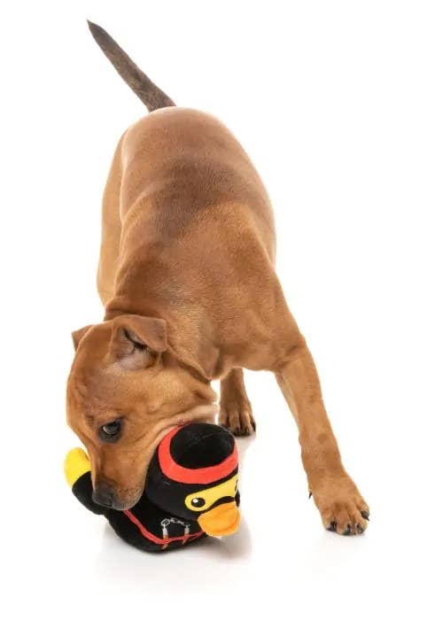 Pet Palette Distribution - FuzzYard Quackie Chan Plush Dog Toy