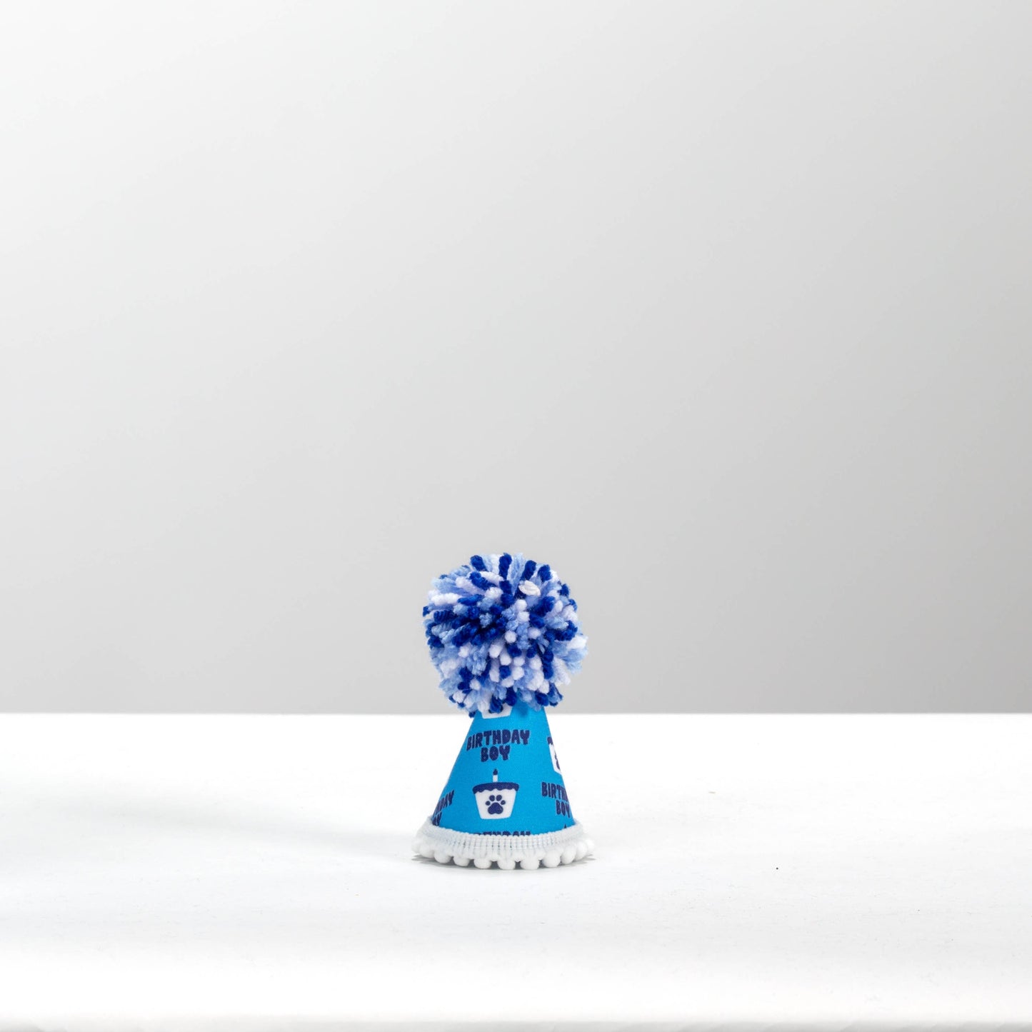 Pup Party Hats - Birthday Blue Boy  Ink Party Hat