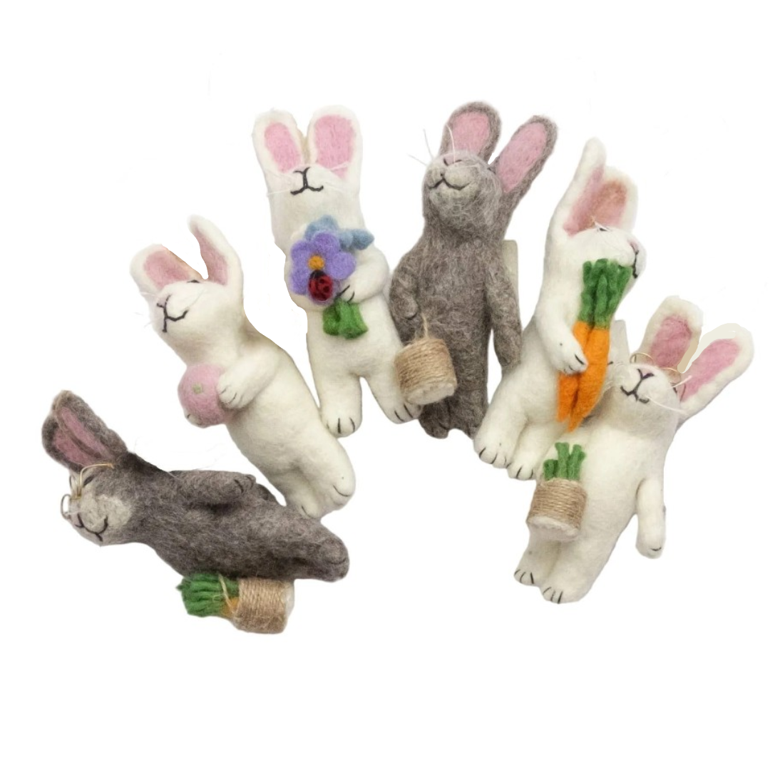 Bunny with glasses & baskets