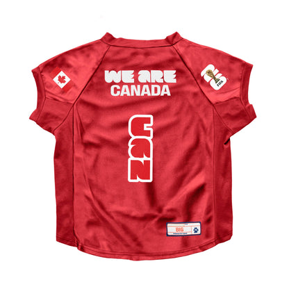 Little Earth Productions - 2026 FIFA World Cup Pet Stretch Jersey