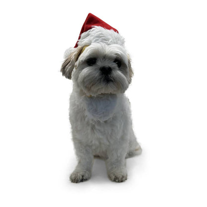 Dogo Pet - Santa Hat: S
