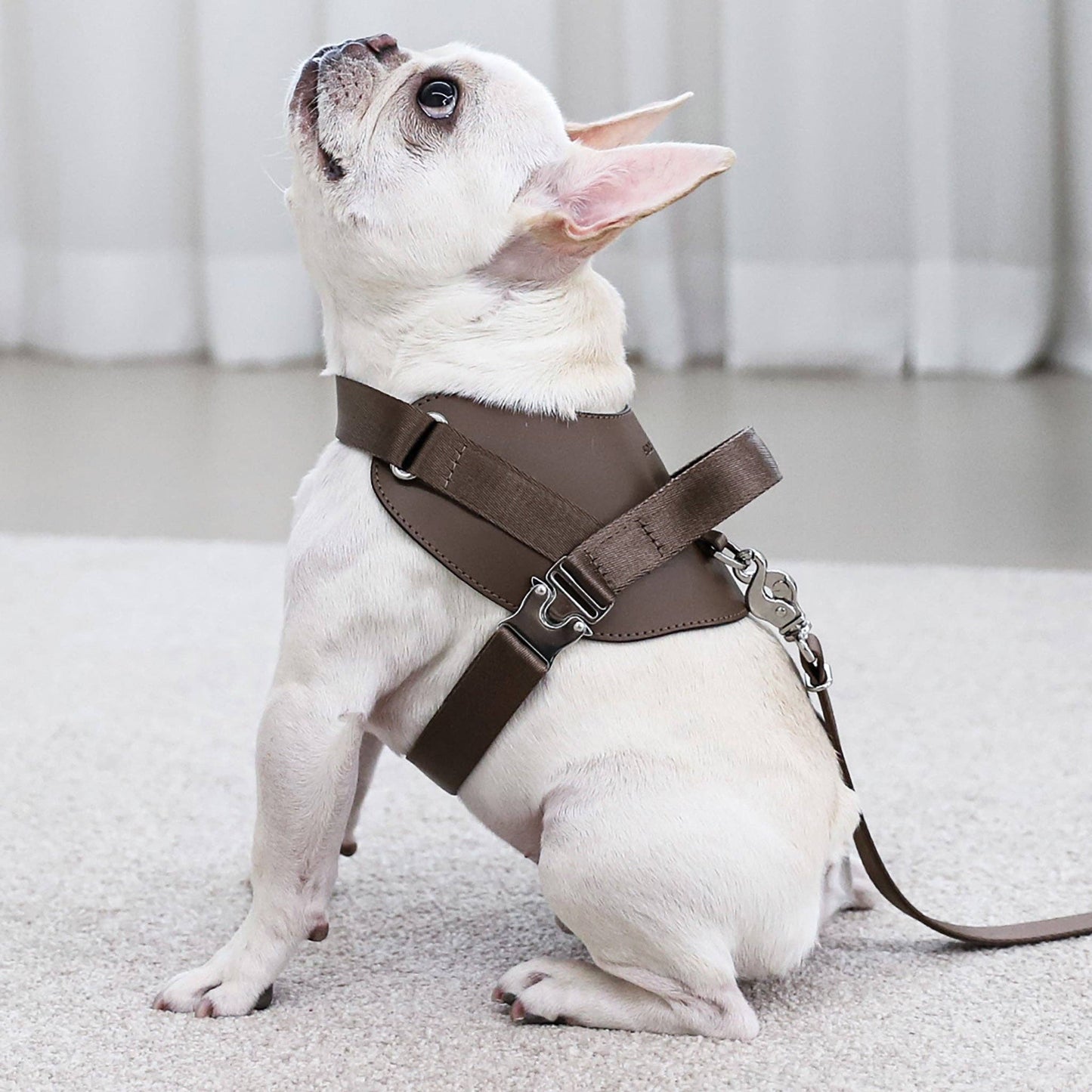 Hozi - Saddle Harness : Pink