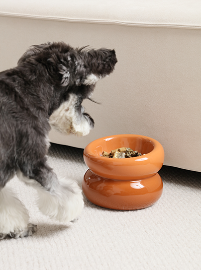 PEHOM - Soufflé Pet Bowl - Amber Orange