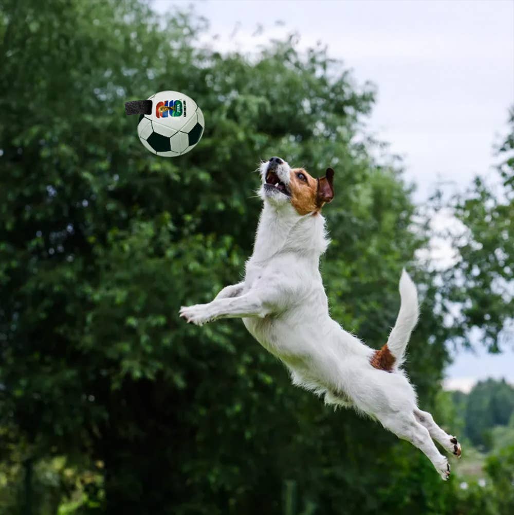 Little Earth Productions - 2026 FIFA World Cup Soccer Ball Pet Toy