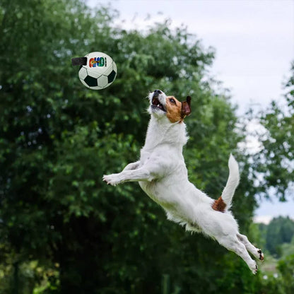 Little Earth Productions - 2026 FIFA World Cup Soccer Ball Pet Toy