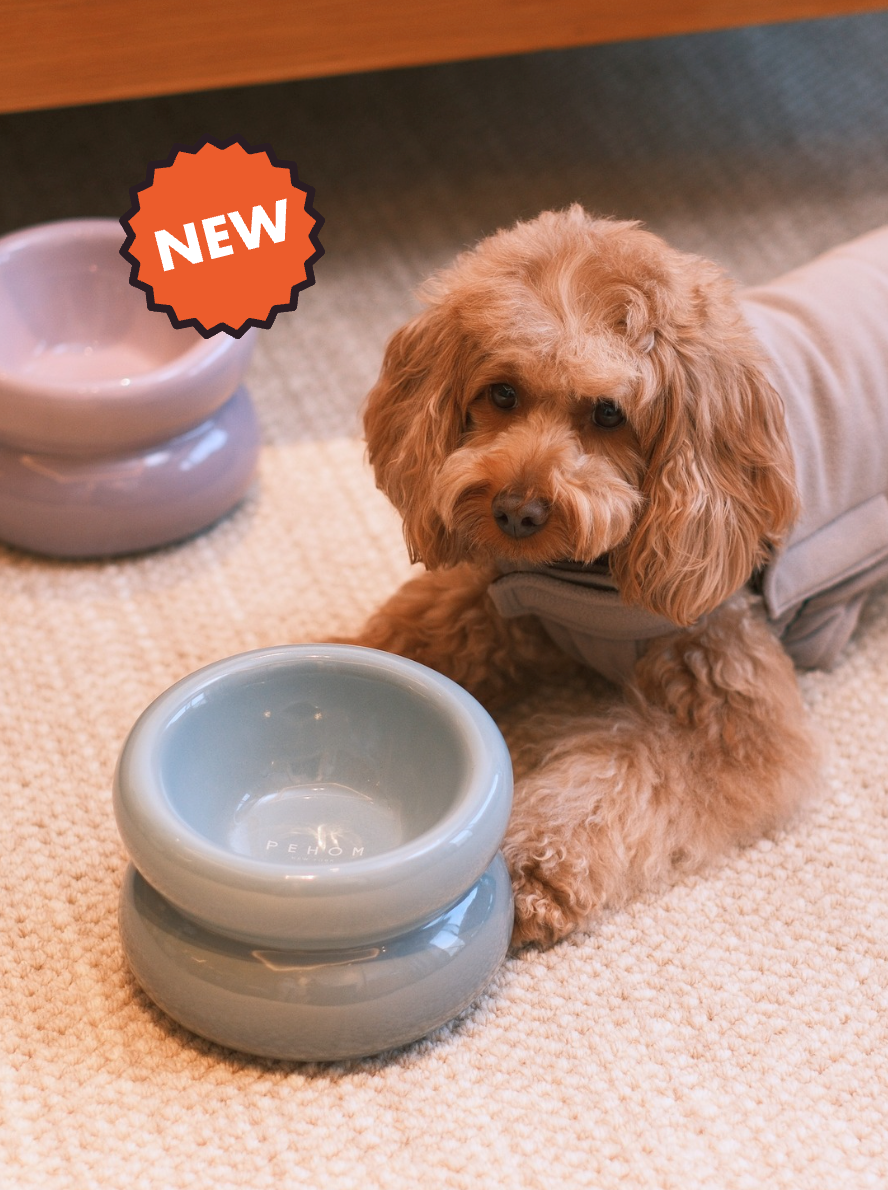 PEHOM - Soufflé Pet Bowl - Frozen Blue