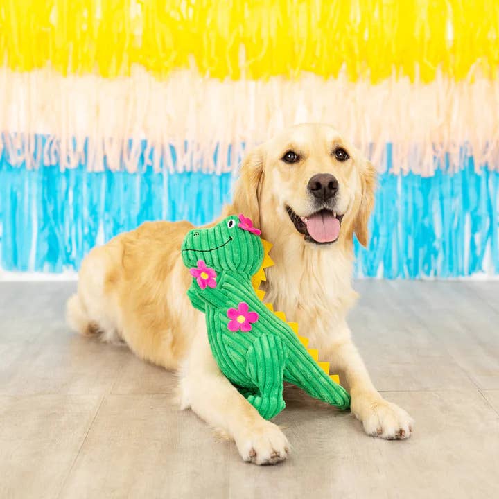 PetShop by Fringe Studio Thorny But Cute Plush Dog Toy
