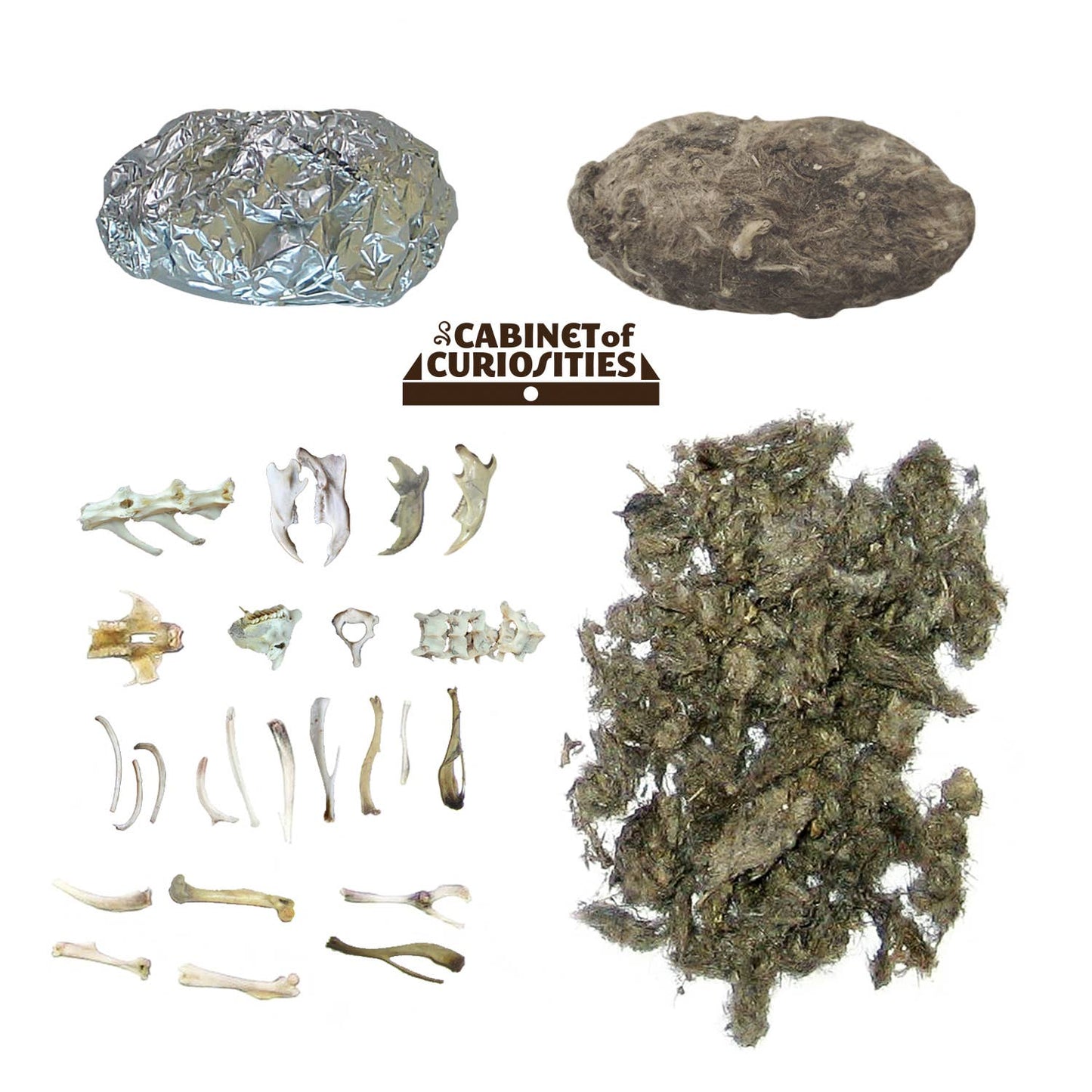Cabinet of Owl Pellets -Dissection Kit Science