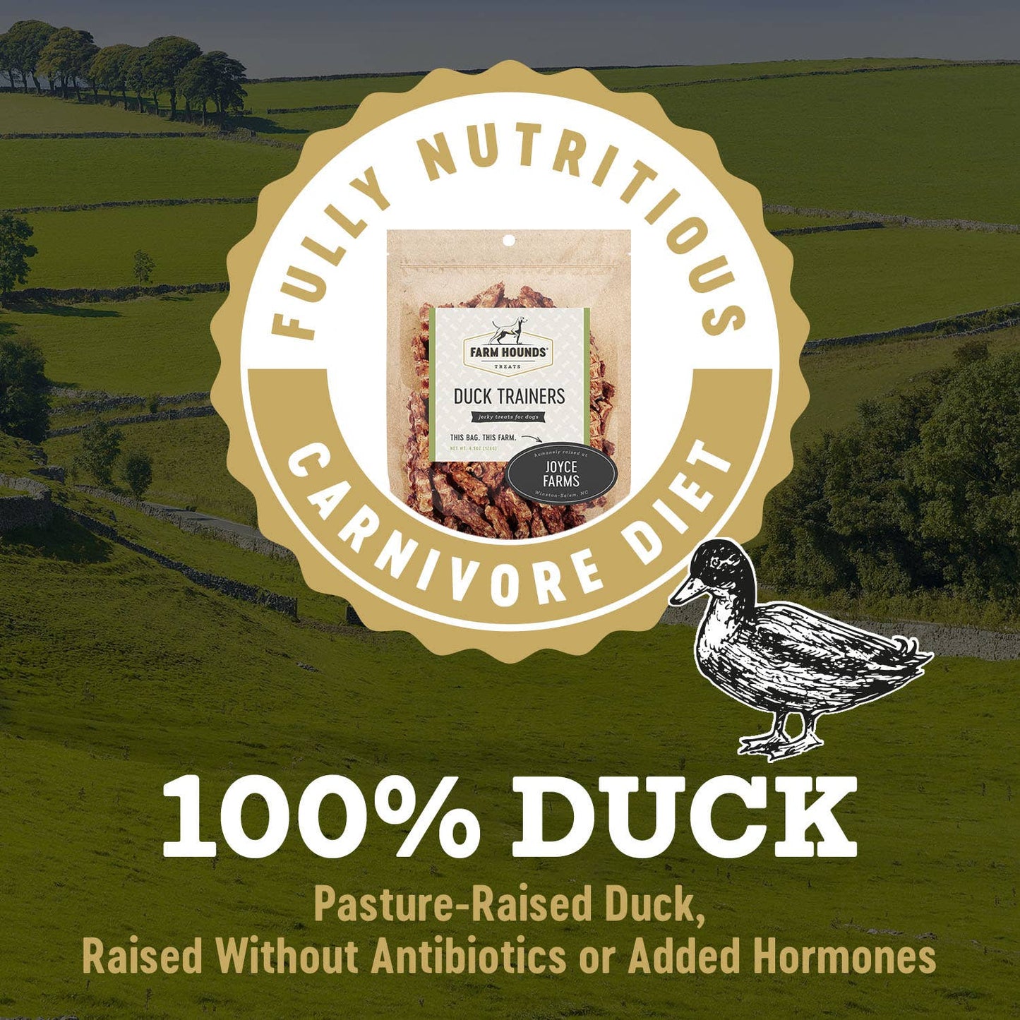 Farm Hounds - Duck Trainer - All-Natural Dog Treats - 4.5oz