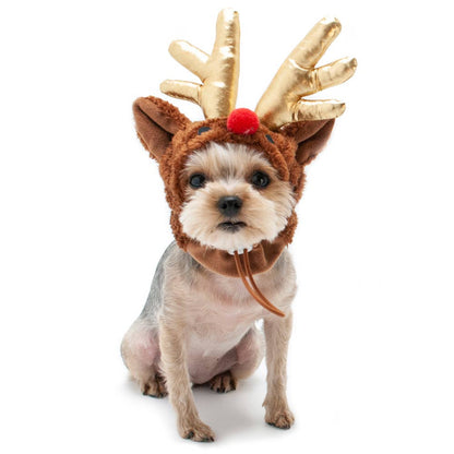 Dogo Pet - Rudolph Hat
