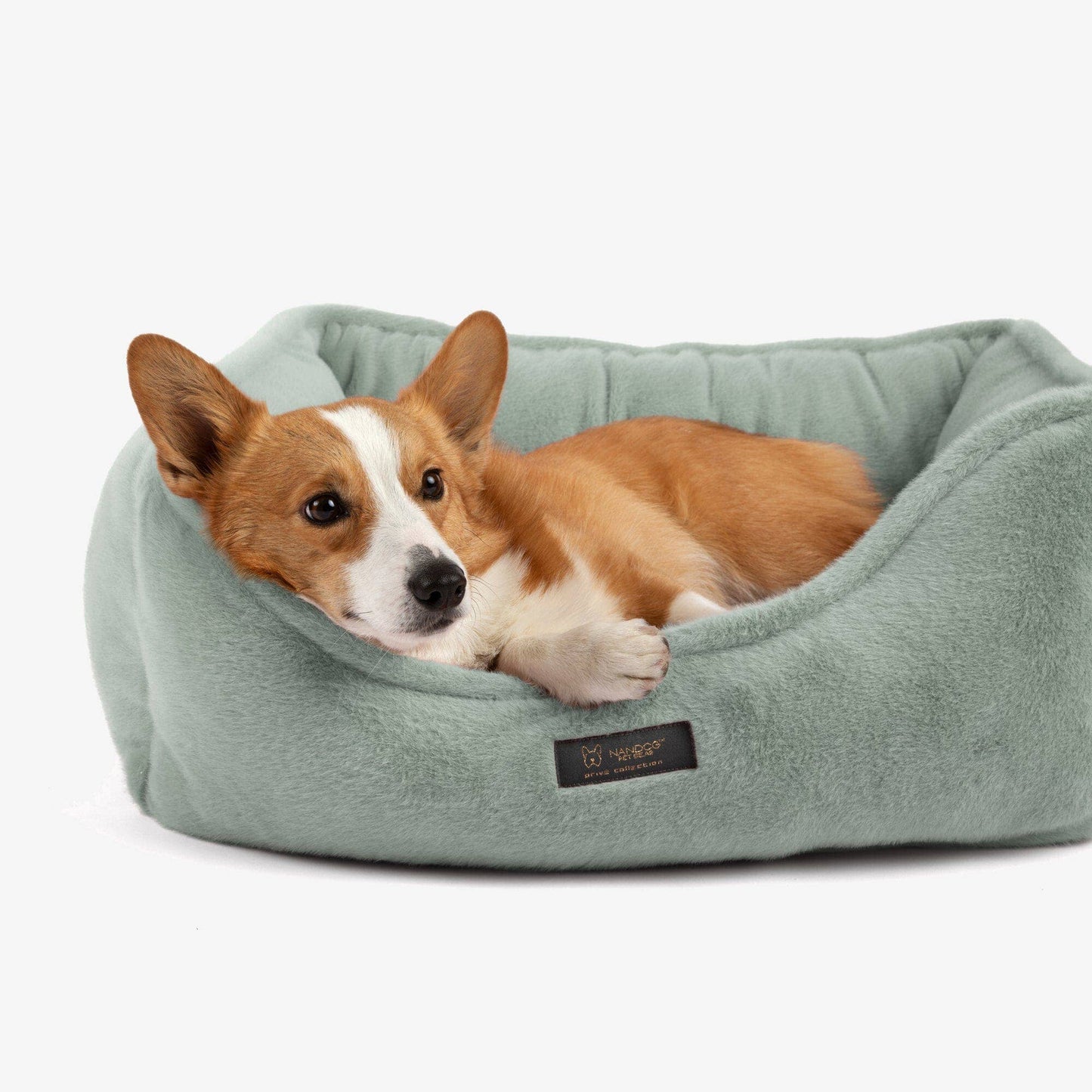 Nandog Pet Gear - The Dream ONE Bed in Paris Green