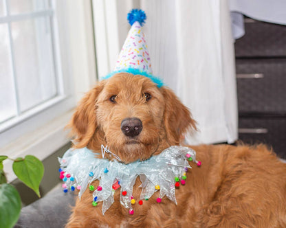 Party Hat Blue