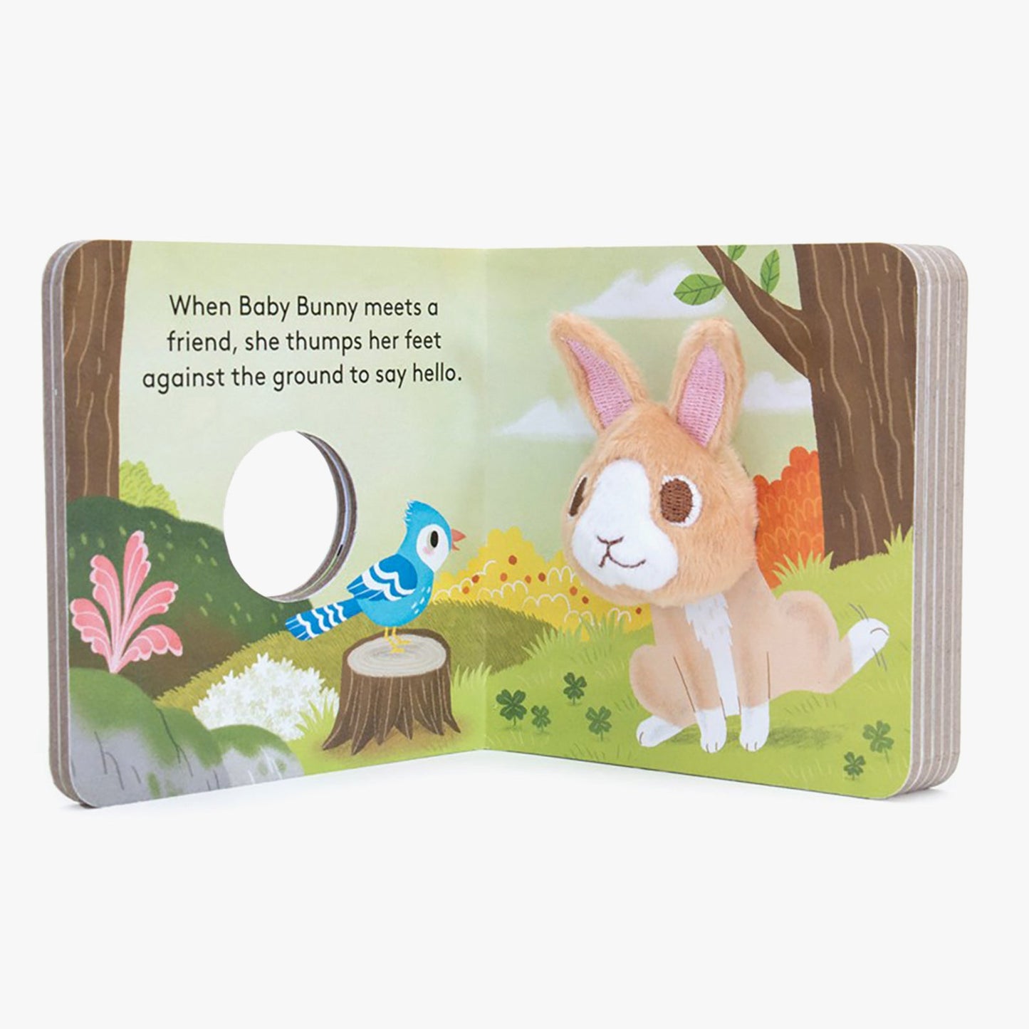 Baby Bunny: Finger Puppet Book