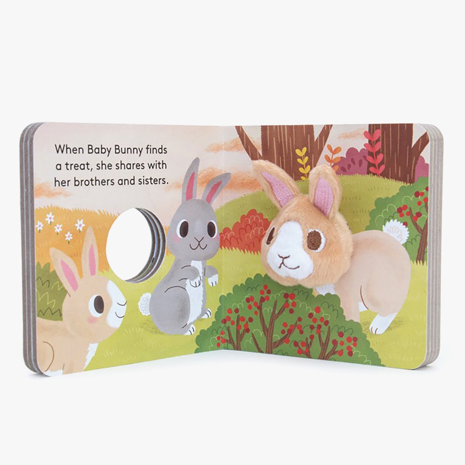 Baby Bunny: Finger Puppet Book