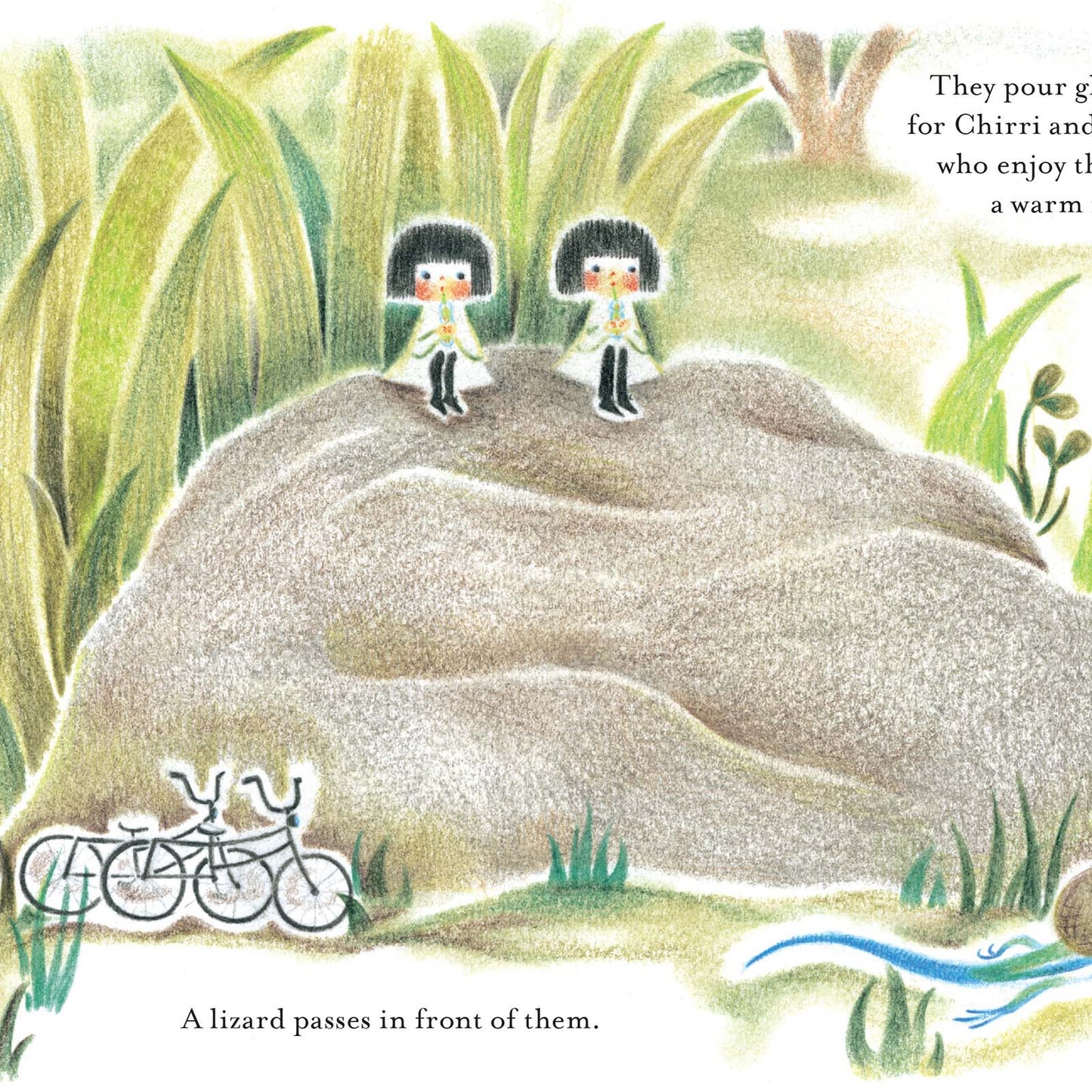 Chirri & Chirra In the Tall Grass Book