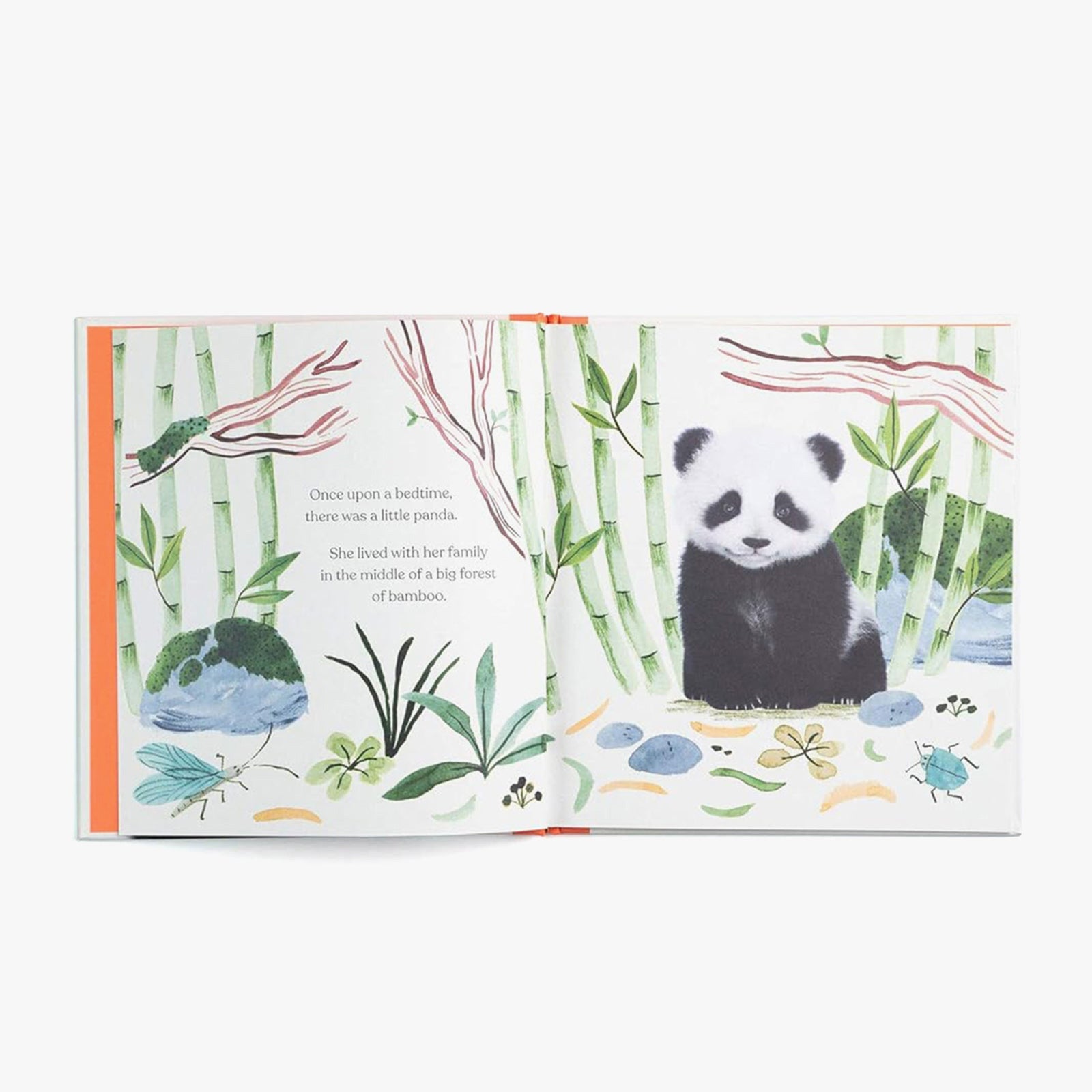 Goodnight, Little Panda Board Book