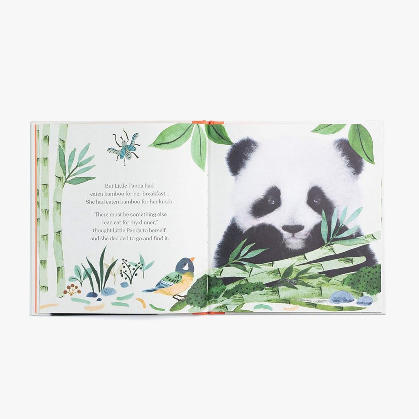 Goodnight, Little Panda Board Book