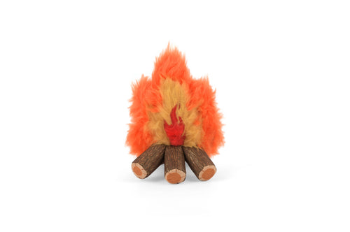 P.L.A.Y. Pet Lifestyle and You - Camp Corbin - Cozy Campfire