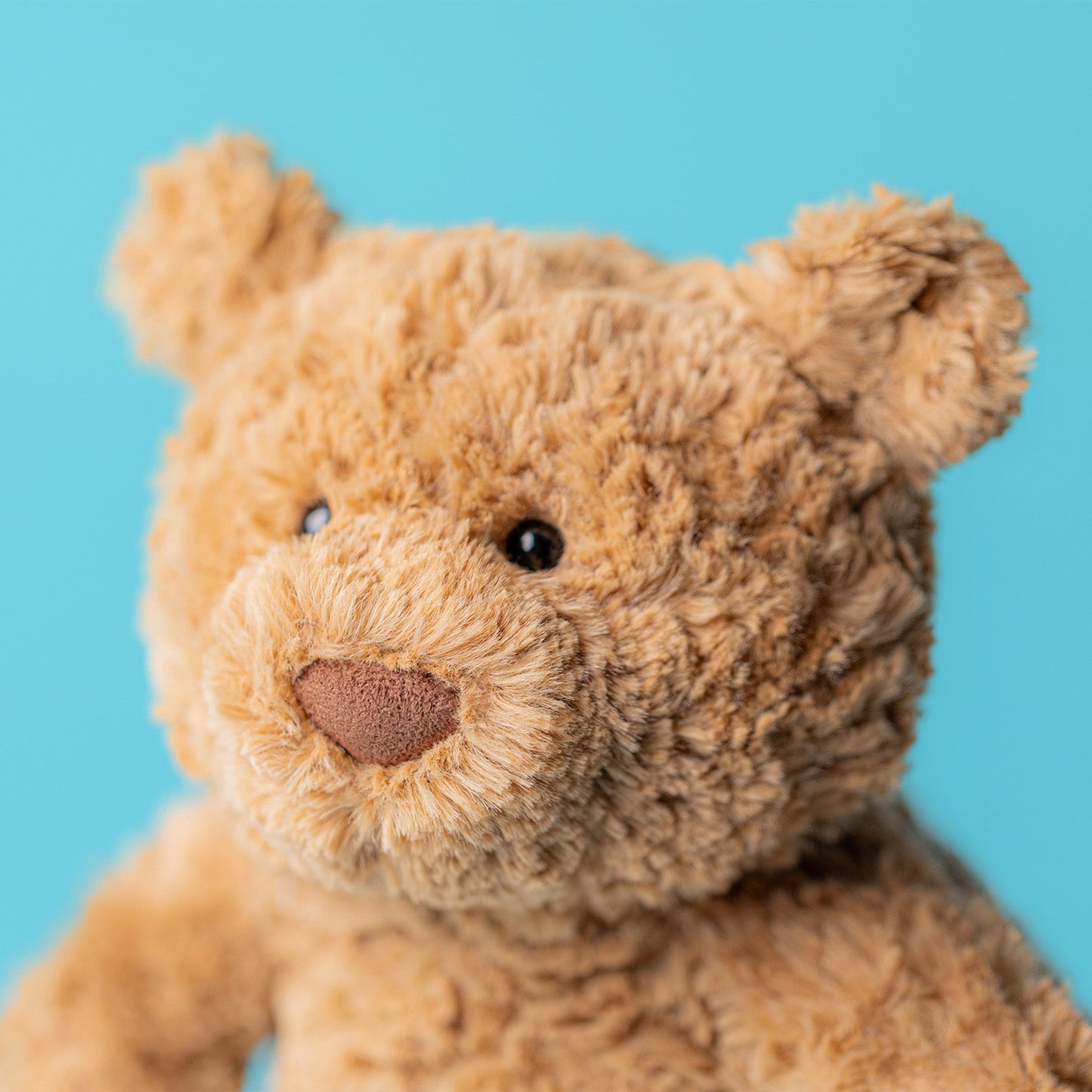 Jellycat Medium Bartholomew Bear