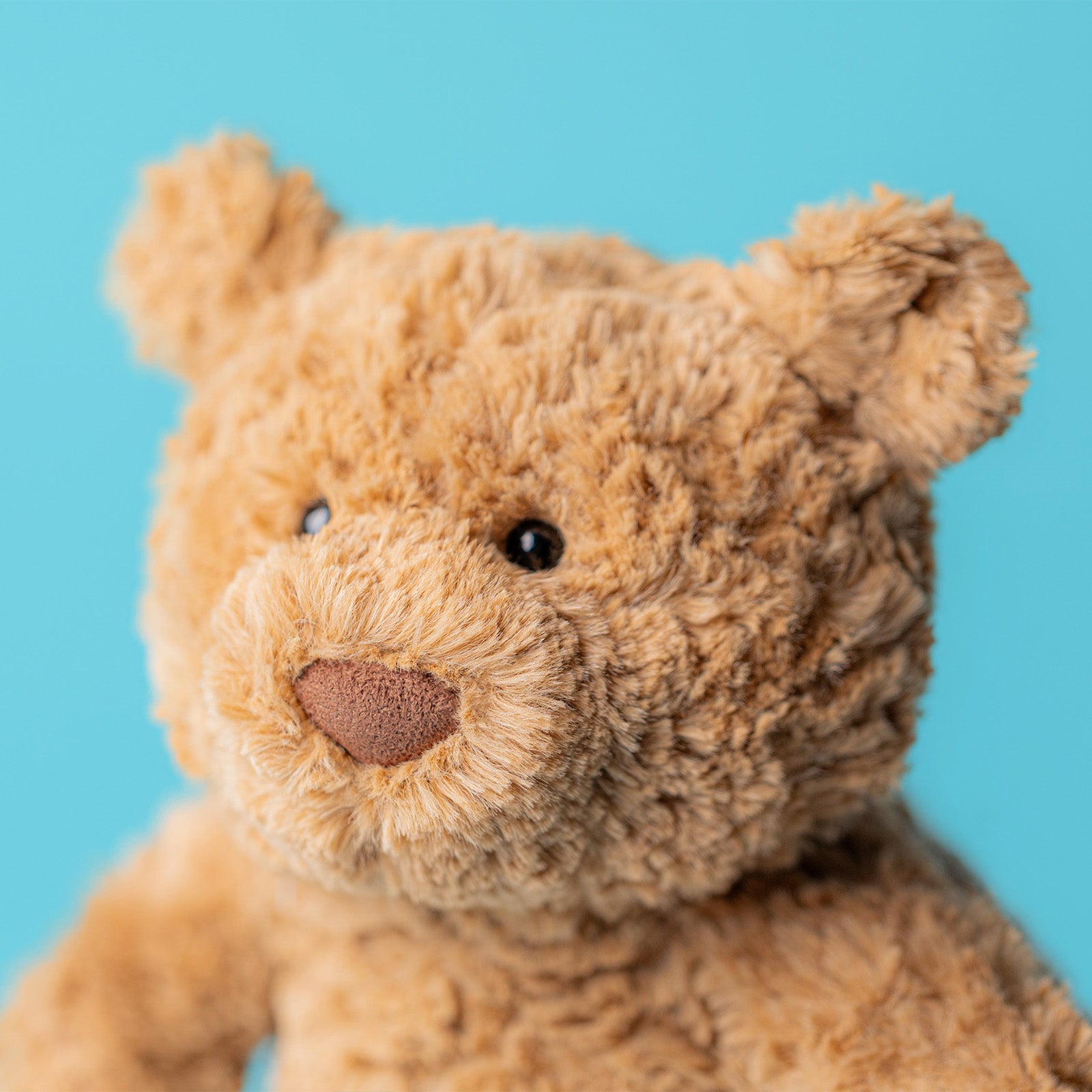 Jellycat Medium Bartholomew Bear