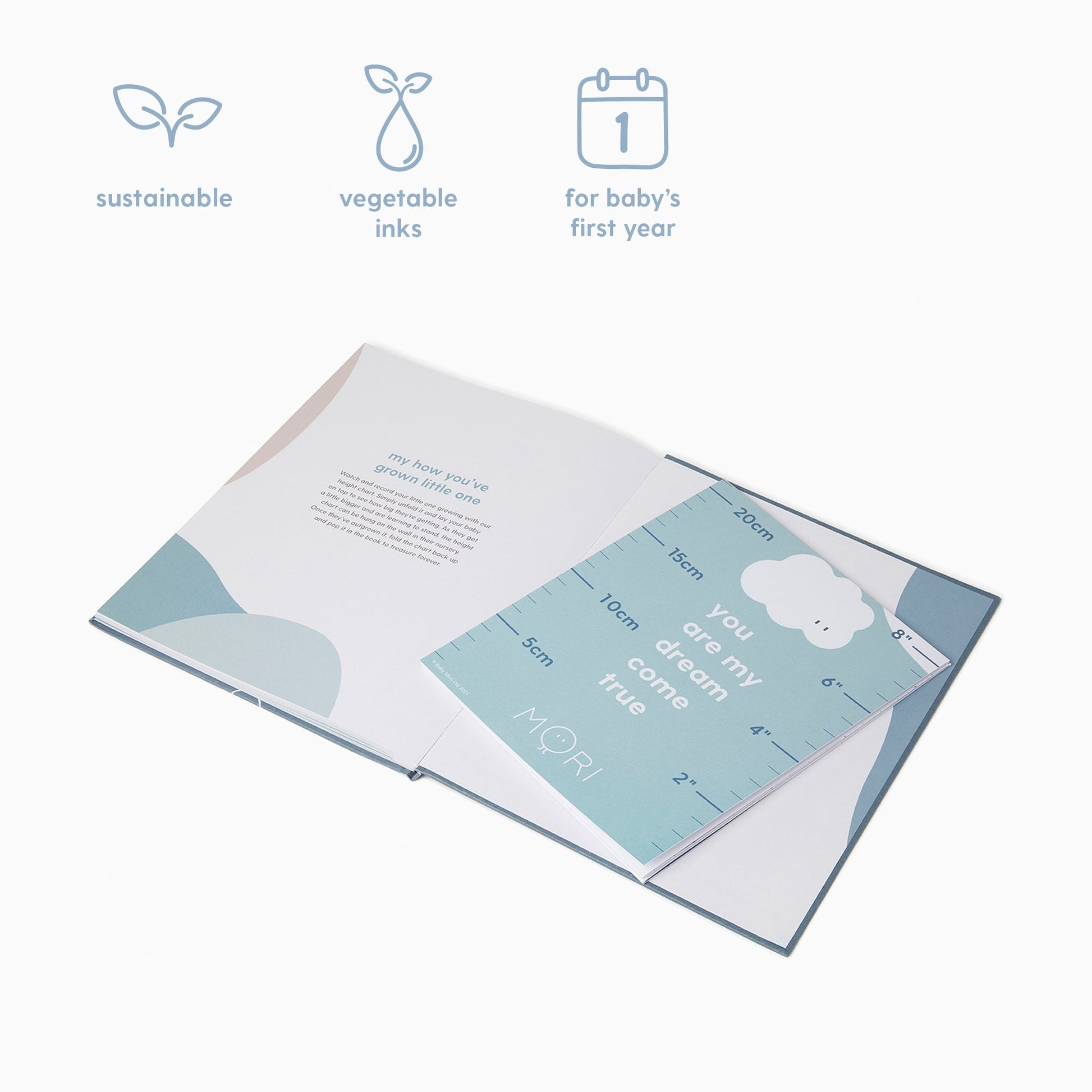 Hello Baby Book - Blue