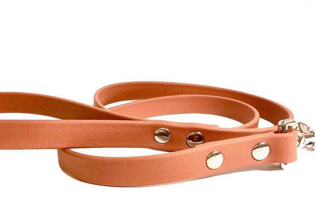 Dog Bar Futura Leashes