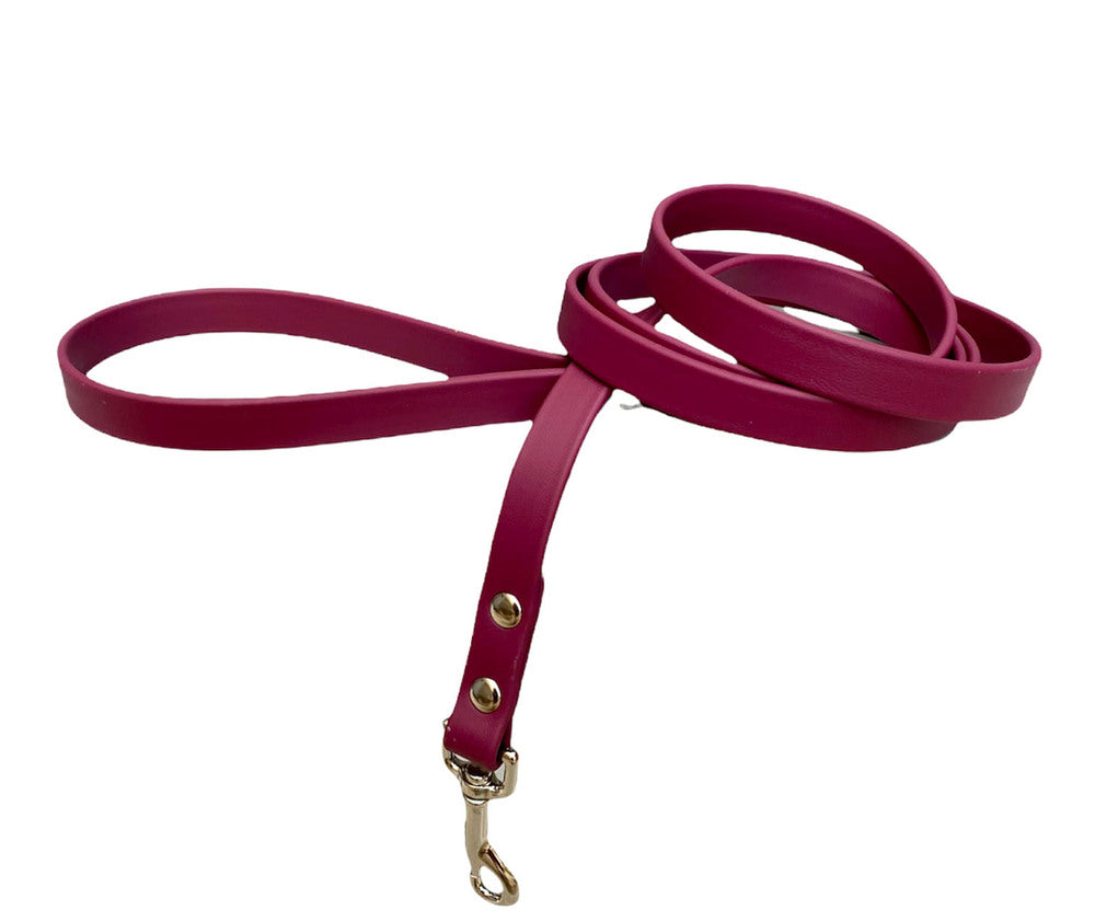 Dog Bar Futura Leashes