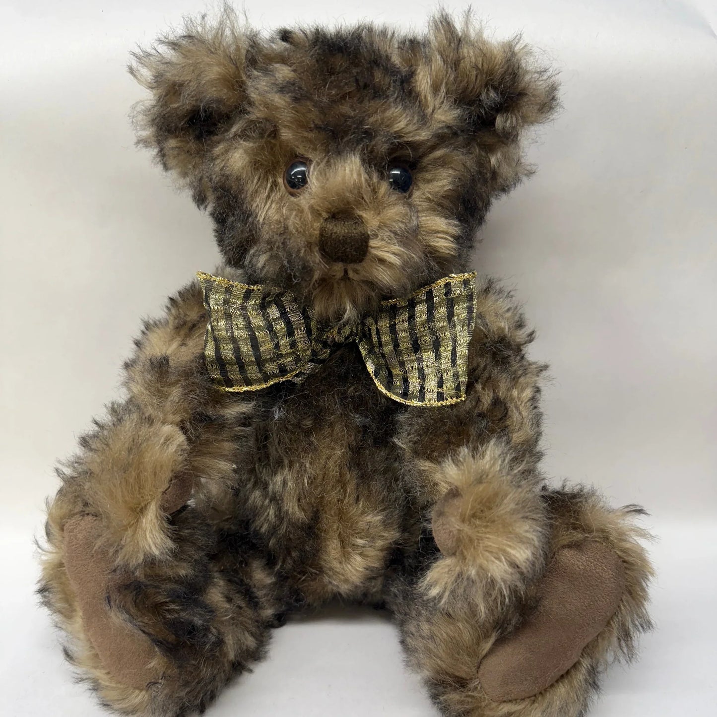 Canterbury Bears Louis