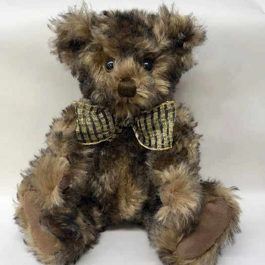 Canterbury Bears Louis