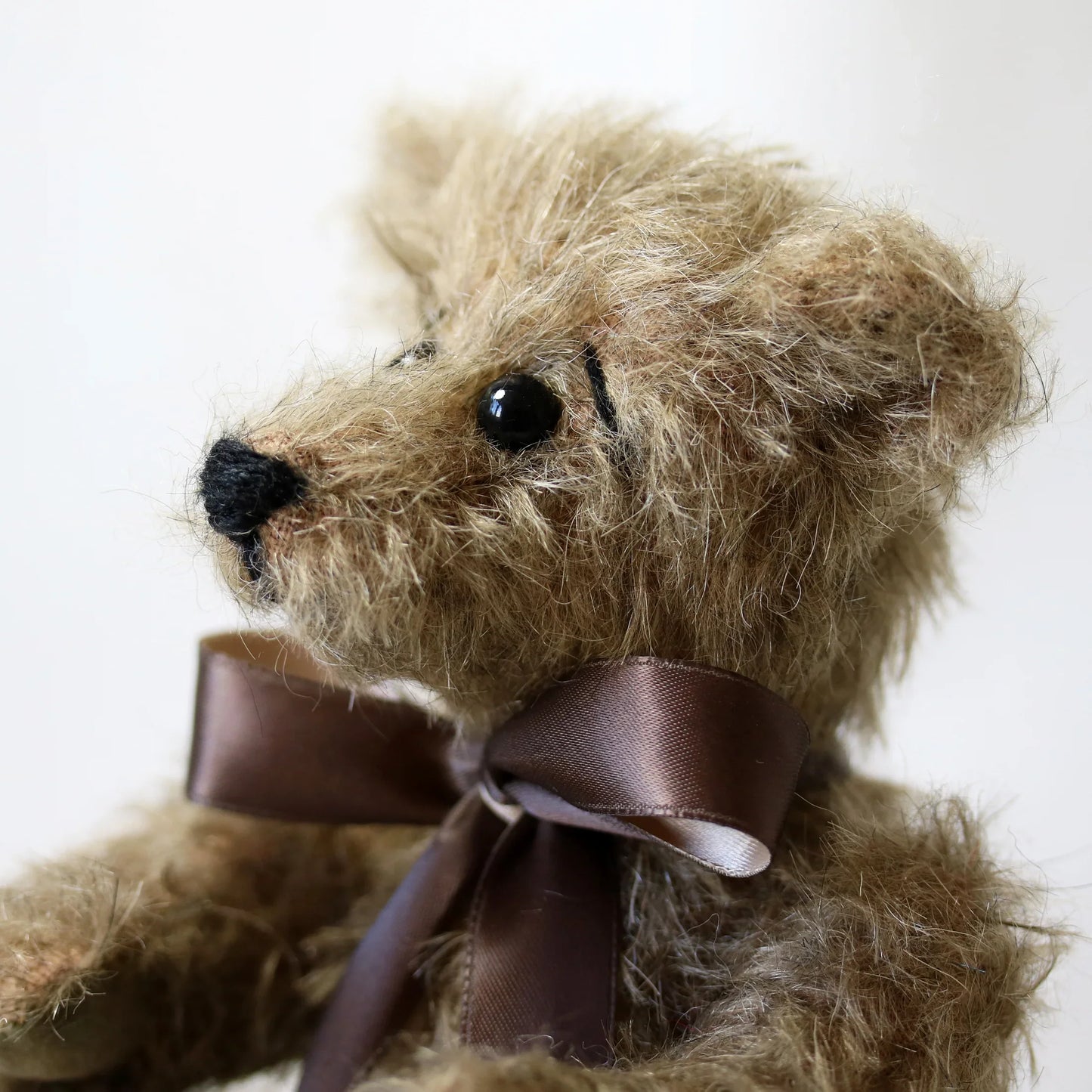 Canterbury Bears Walter