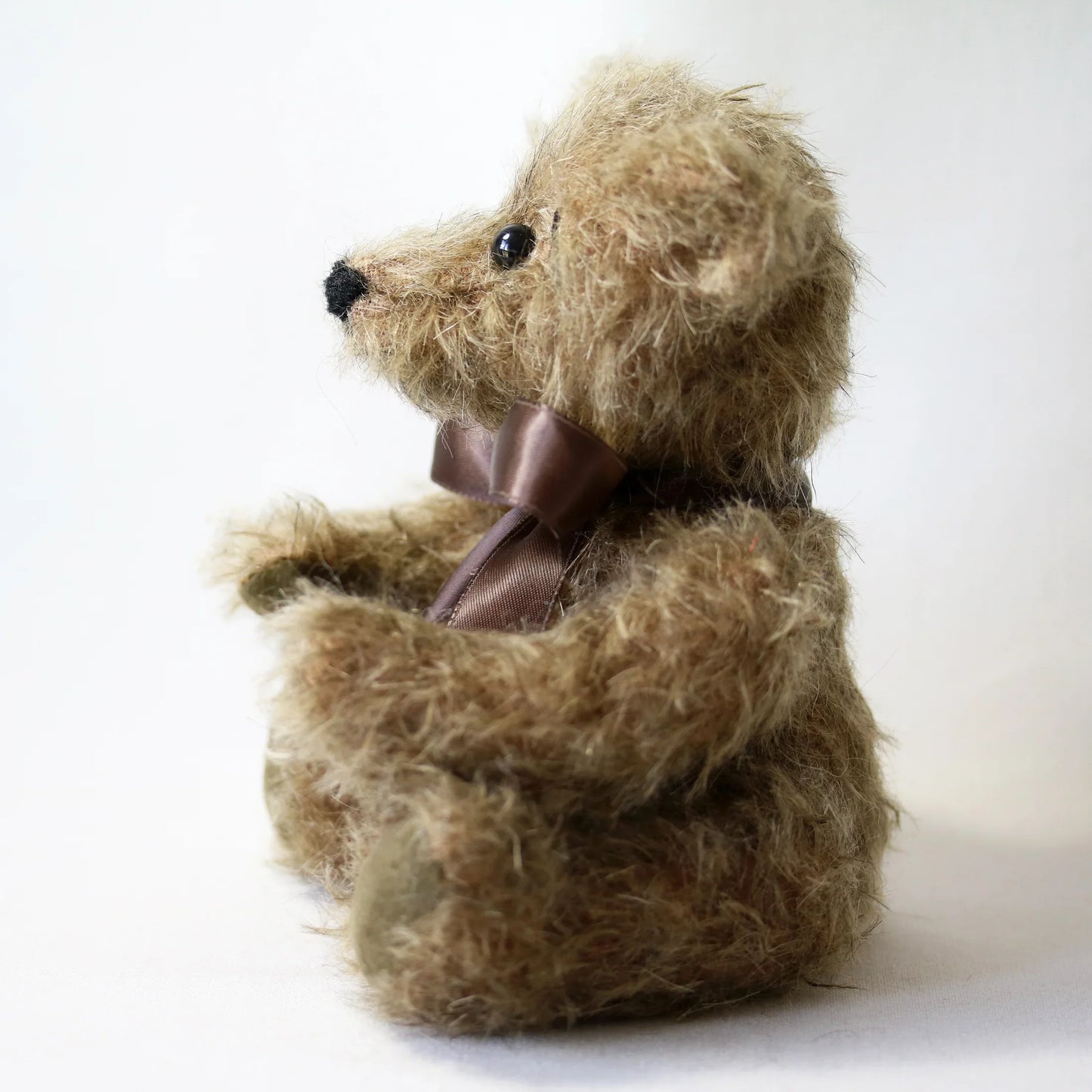 Canterbury Bears Walter