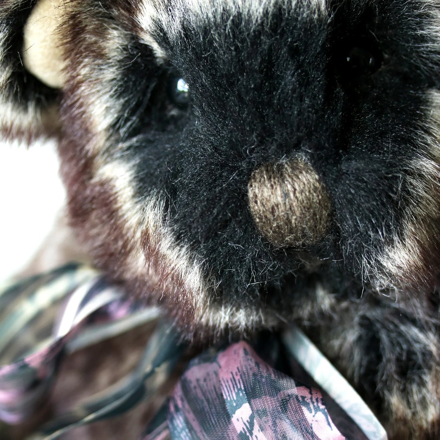 Canterbury Bears Wolfie Cub
