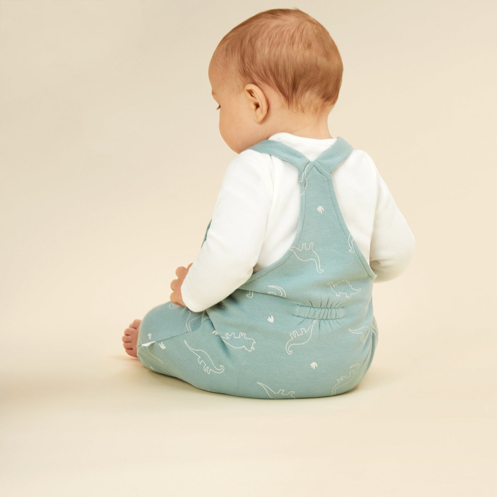 Dino Print Dungarees