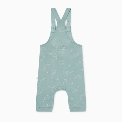 Dino Print Dungarees